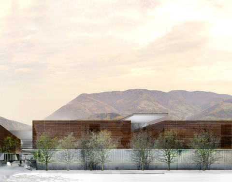 UMBERTO PARINI HOSPITAL