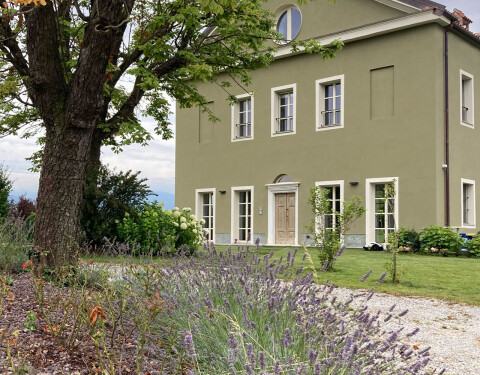 VILLA M